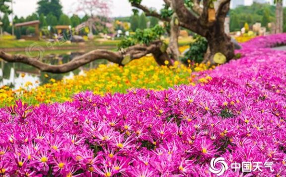 强冷空气将至！明后天广西迎大风降温 局地气温降幅可超8℃