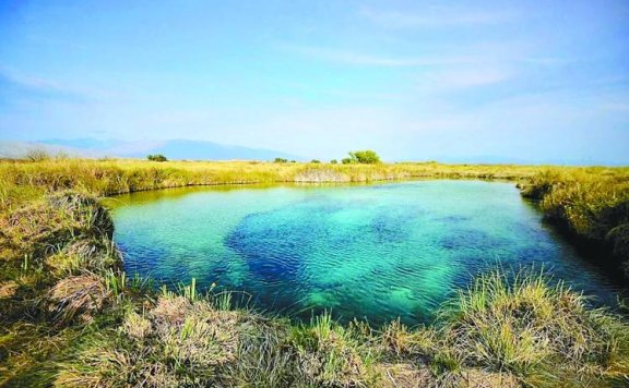 在墨西哥“最佳旅游乡村”寻找古老生命