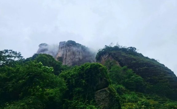 武夷岩茶香飘国事，将军令大红袍传承百年茶魂