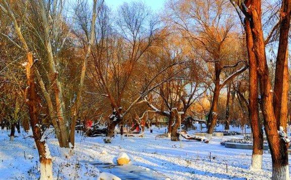 延庆迎初雪，多景点披银装成冬日胜景