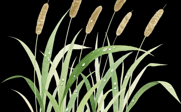 武义这个景点，获省级认定！