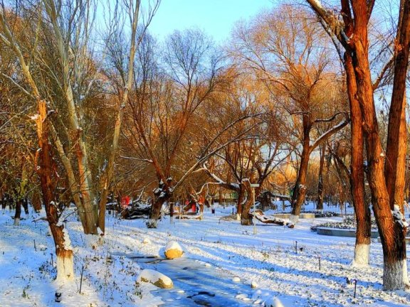 延庆迎初雪，多景点披银装成冬日胜景