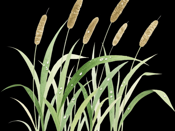 武义这个景点，获省级认定！