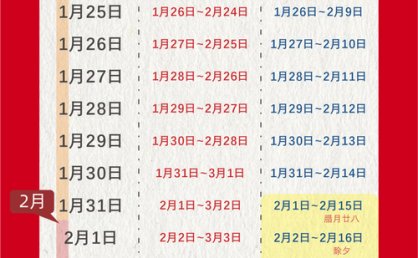 1月19日起，春运进出海南岛船票开售→