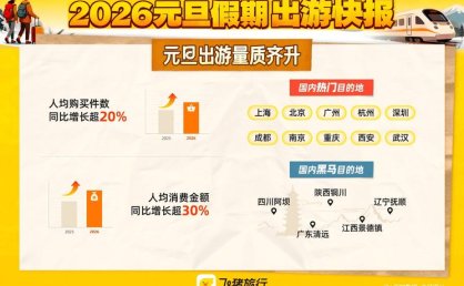 春节假期节中出游趋势明显 飞猪：节中租车预订量大增97%