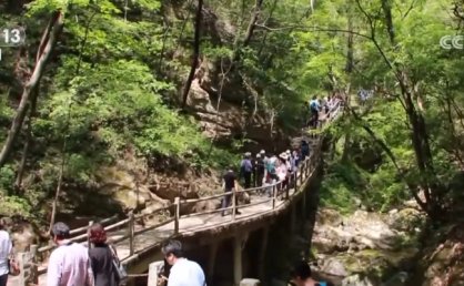 盘点2024年暑期游 消费创新高、文化味浓、出入境游火热