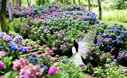 江蘇金壇茅山：創新驅動賦能文旅融合高質量發展