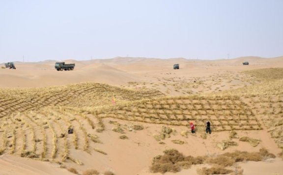 广州多个客运站开售春运汽车票